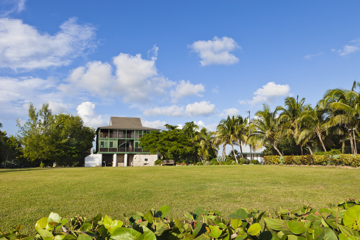 Savannah Pedro St. James