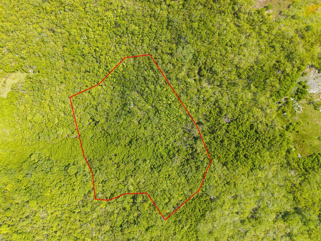 1.75 Acres - Land Parcel