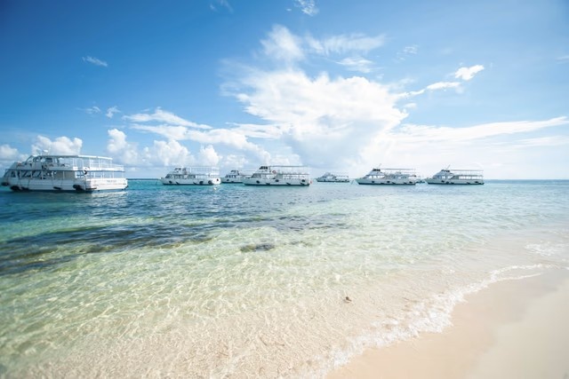 Caribbean Paradise 2