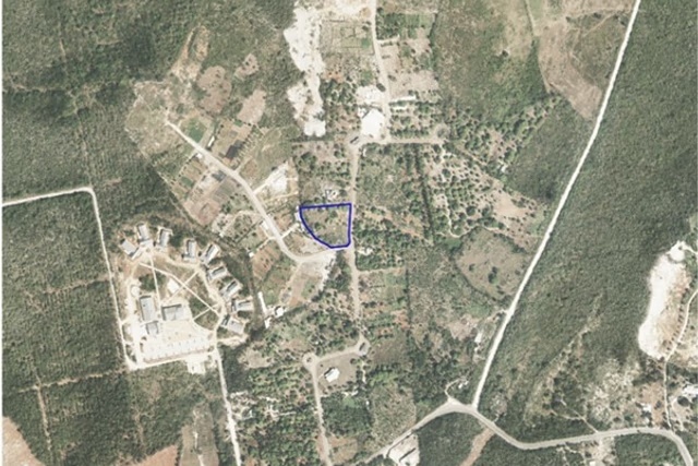 East End Farm Land 1.0 Acre With Fruit Trees