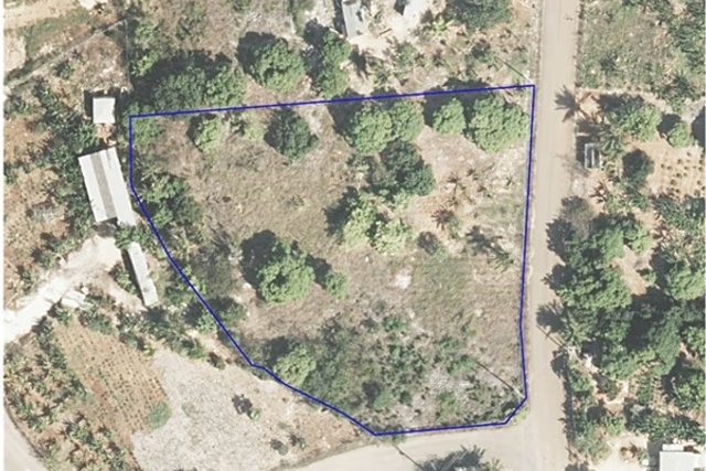 East End Farm Land 1.0 Acre With Fruit Trees