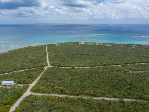 Coral Point